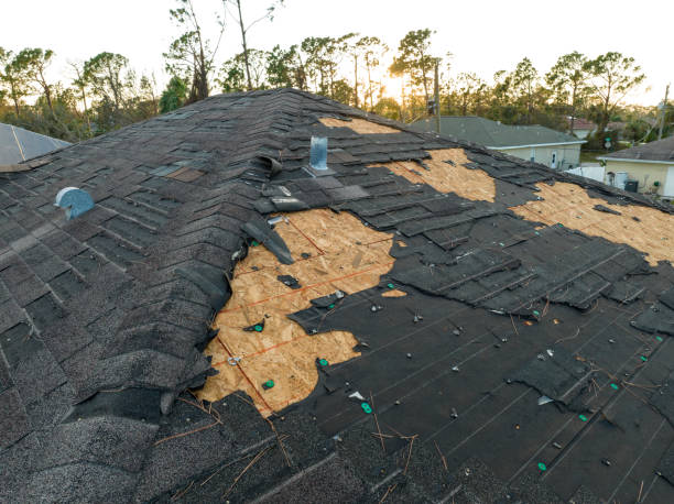 Best Metal Roofing Installation  in Berwick, LA