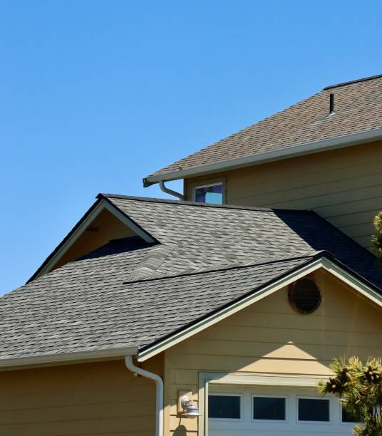 Roof Moss and Algae Removal in Berwick, LA